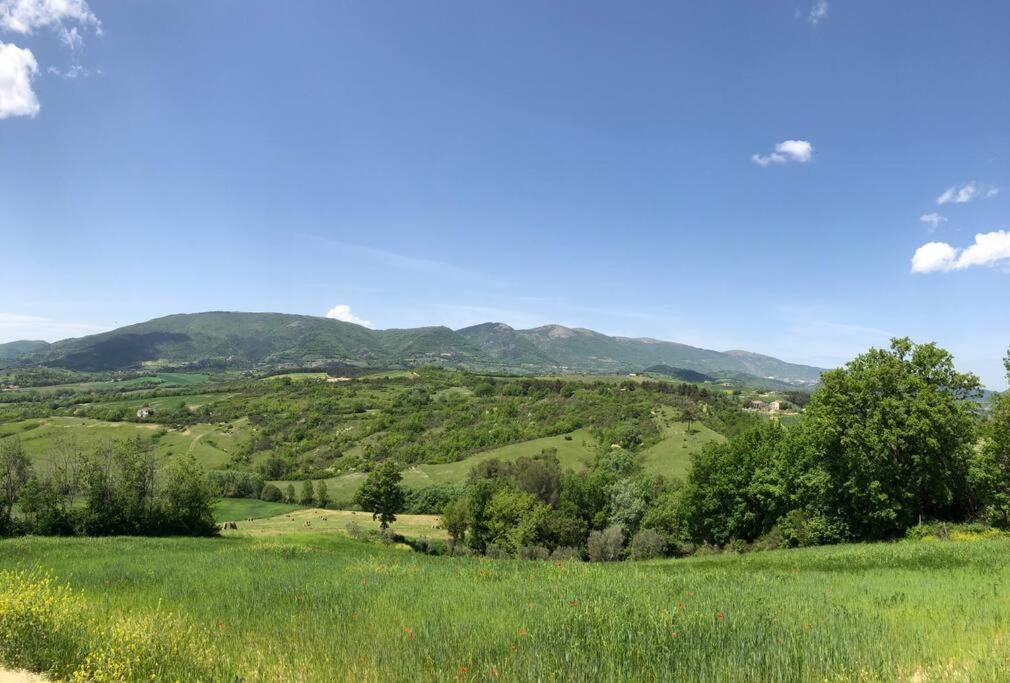Casa Vacanze Vecchio Frantoio Residenza Leccino Spoleto Ngoại thất bức ảnh