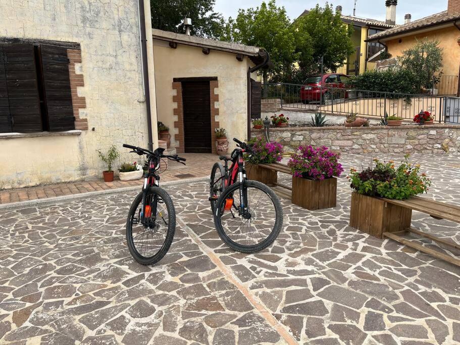 Casa Vacanze Vecchio Frantoio Residenza Leccino Spoleto Ngoại thất bức ảnh